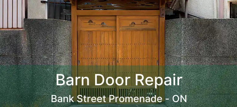  Barn Door Repair Bank Street Promenade - ON