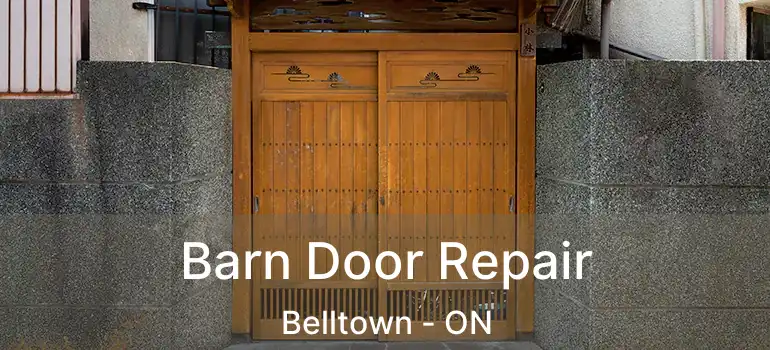  Barn Door Repair Belltown - ON