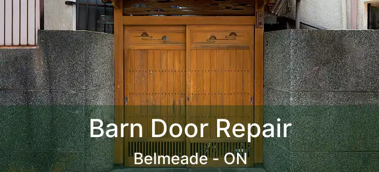  Barn Door Repair Belmeade - ON