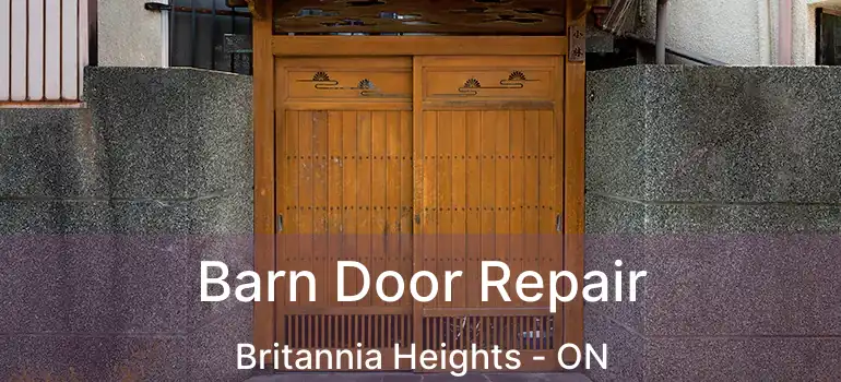  Barn Door Repair Britannia Heights - ON