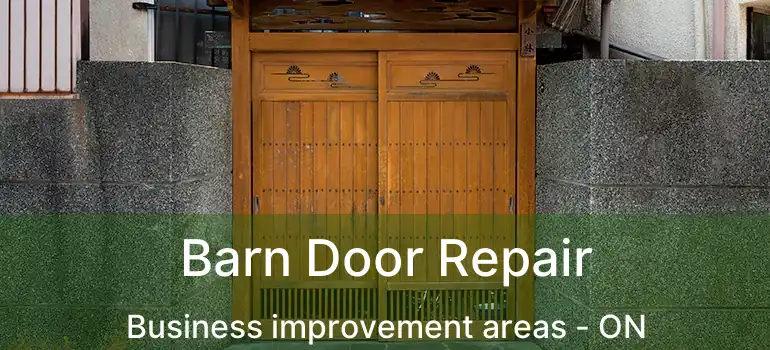  Barn Door Repair Business improvement areas - ON