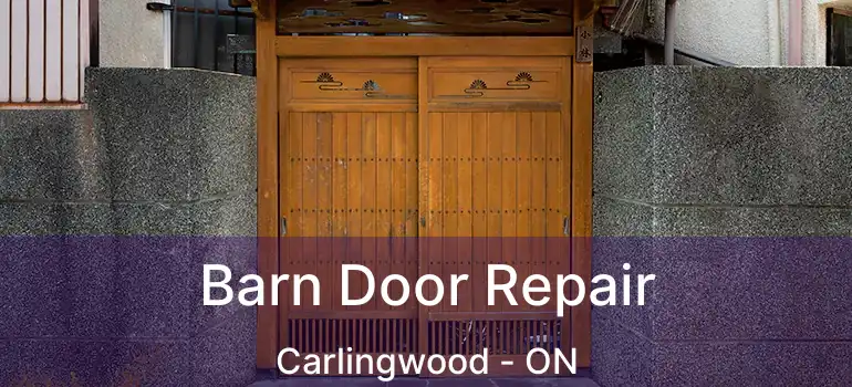  Barn Door Repair Carlingwood - ON