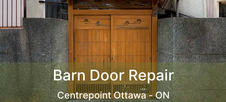  Barn Door Repair Centrepoint Ottawa - ON