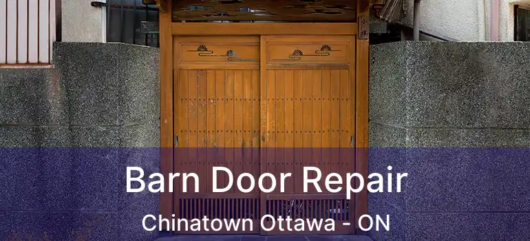  Barn Door Repair Chinatown Ottawa - ON