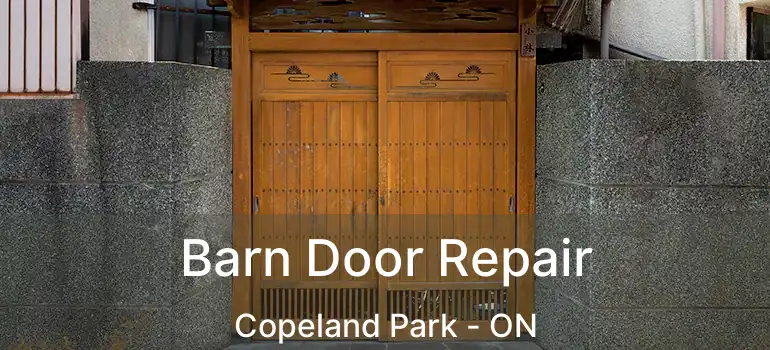  Barn Door Repair Copeland Park - ON