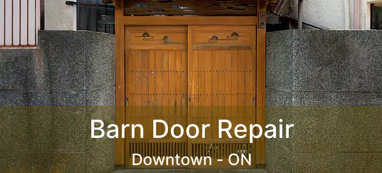  Barn Door Repair Downtown - ON