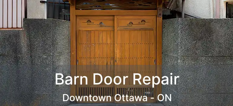  Barn Door Repair Downtown Ottawa - ON