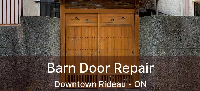  Barn Door Repair Downtown Rideau - ON