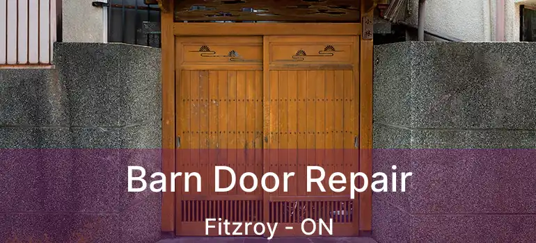  Barn Door Repair Fitzroy - ON