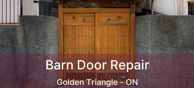  Barn Door Repair Golden Triangle - ON