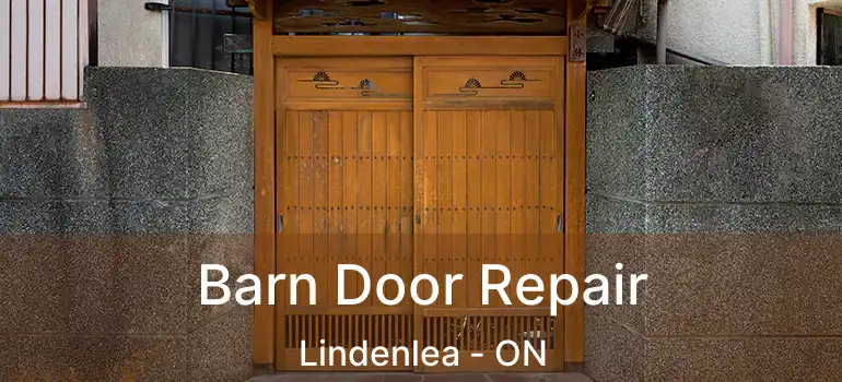  Barn Door Repair Lindenlea - ON