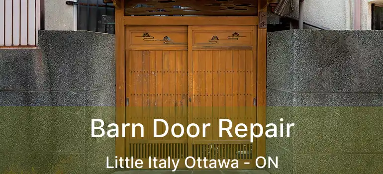  Barn Door Repair Little Italy Ottawa - ON