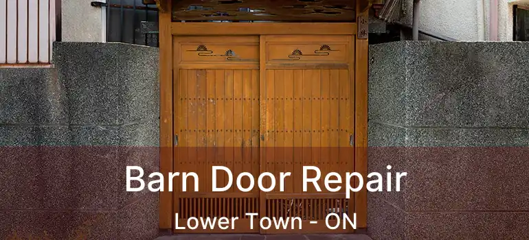  Barn Door Repair Lower Town - ON