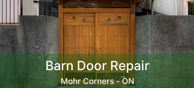  Barn Door Repair Mohr Corners - ON