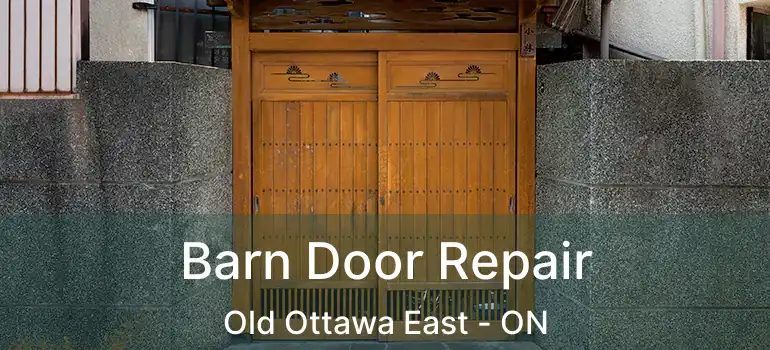  Barn Door Repair Old Ottawa East - ON