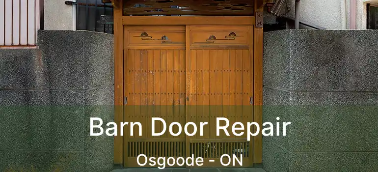  Barn Door Repair Osgoode - ON