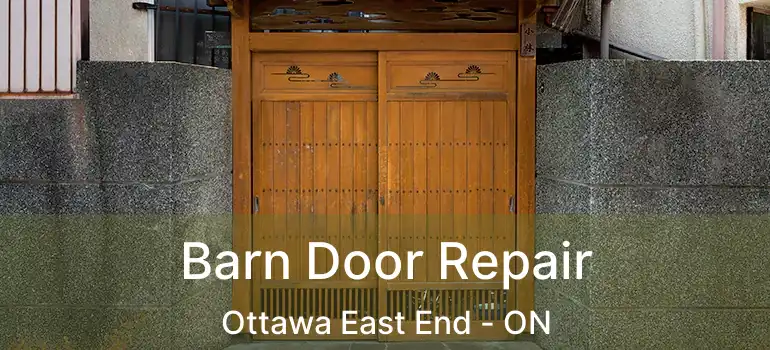  Barn Door Repair Ottawa East End - ON