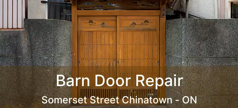  Barn Door Repair Somerset Street Chinatown - ON