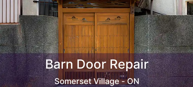  Barn Door Repair Somerset Village - ON