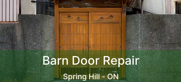  Barn Door Repair Spring Hill - ON