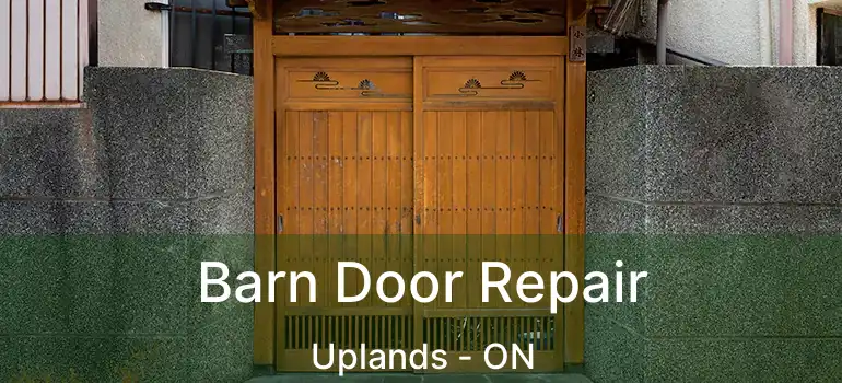  Barn Door Repair Uplands - ON