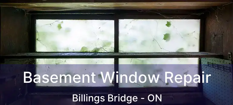  Basement Window Repair Billings Bridge - ON