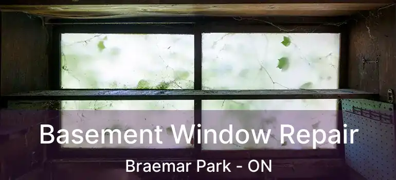  Basement Window Repair Braemar Park - ON