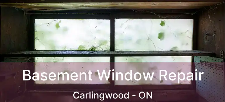  Basement Window Repair Carlingwood - ON