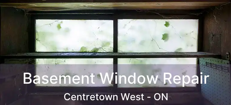  Basement Window Repair Centretown West - ON