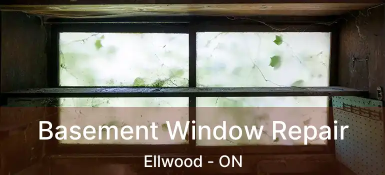  Basement Window Repair Ellwood - ON