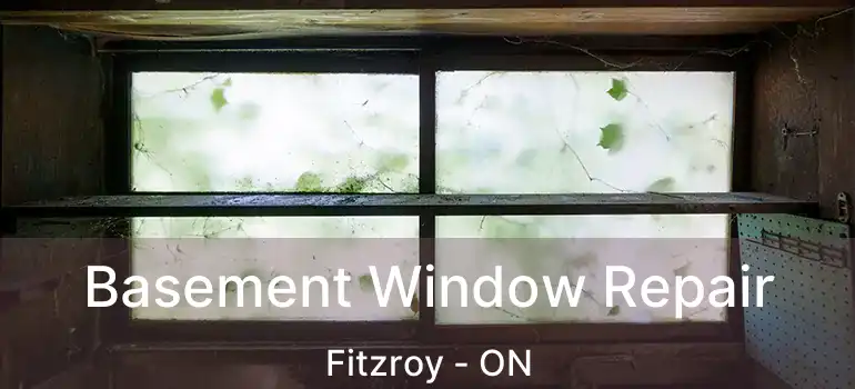  Basement Window Repair Fitzroy - ON