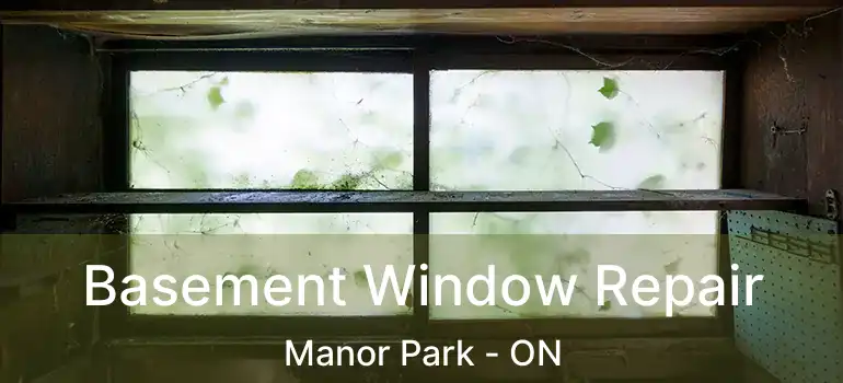  Basement Window Repair Manor Park - ON