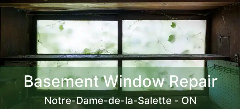  Basement Window Repair Notre-Dame-de-la-Salette - ON