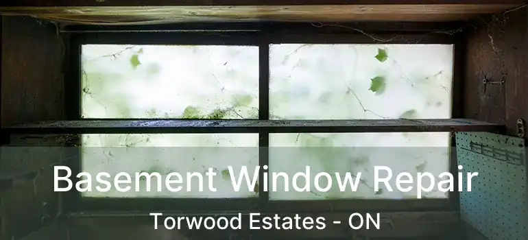  Basement Window Repair Torwood Estates - ON