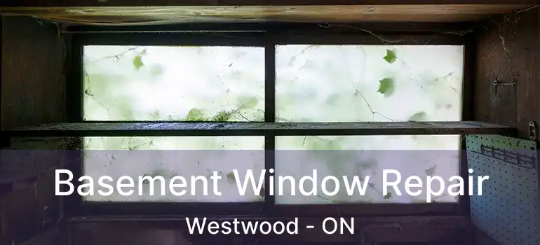  Basement Window Repair Westwood - ON