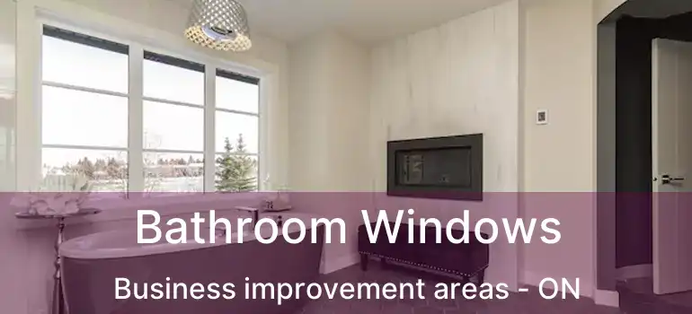  Bathroom Windows Business improvement areas - ON