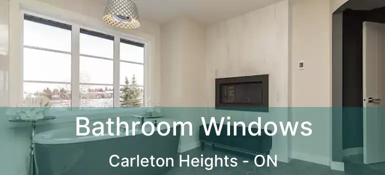  Bathroom Windows Carleton Heights - ON