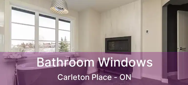  Bathroom Windows Carleton Place - ON