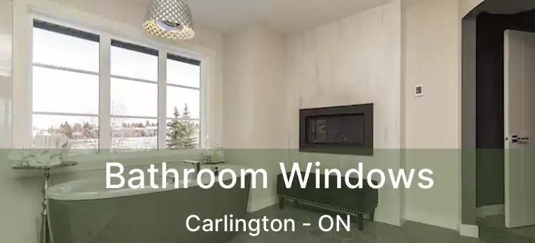  Bathroom Windows Carlington - ON