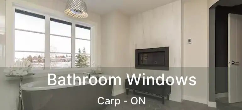  Bathroom Windows Carp - ON