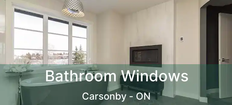  Bathroom Windows Carsonby - ON