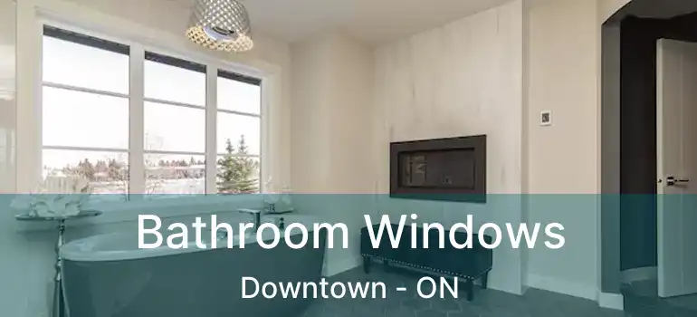  Bathroom Windows Downtown - ON