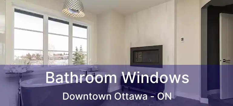  Bathroom Windows Downtown Ottawa - ON