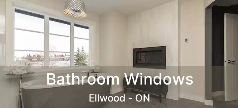  Bathroom Windows Ellwood - ON