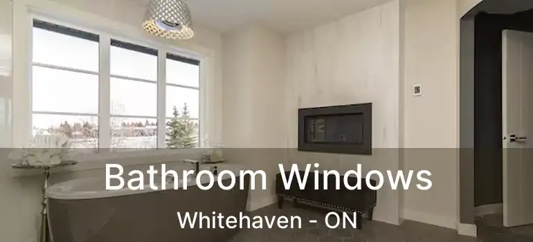  Bathroom Windows Whitehaven - ON