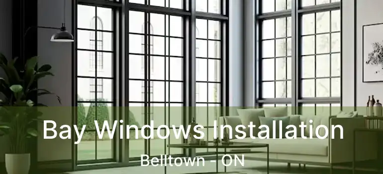  Bay Windows Installation Belltown - ON