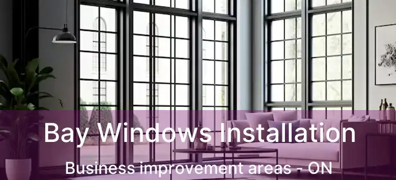  Bay Windows Installation Business improvement areas - ON