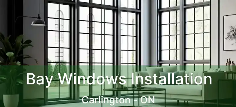  Bay Windows Installation Carlington - ON