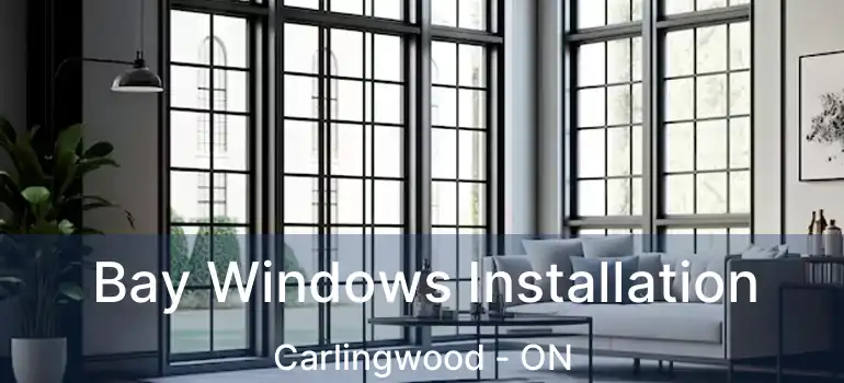  Bay Windows Installation Carlingwood - ON