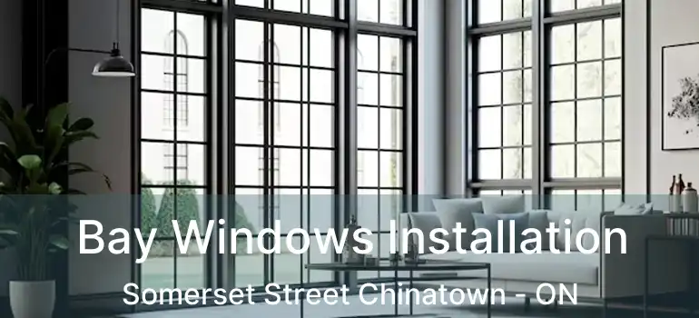  Bay Windows Installation Somerset Street Chinatown - ON